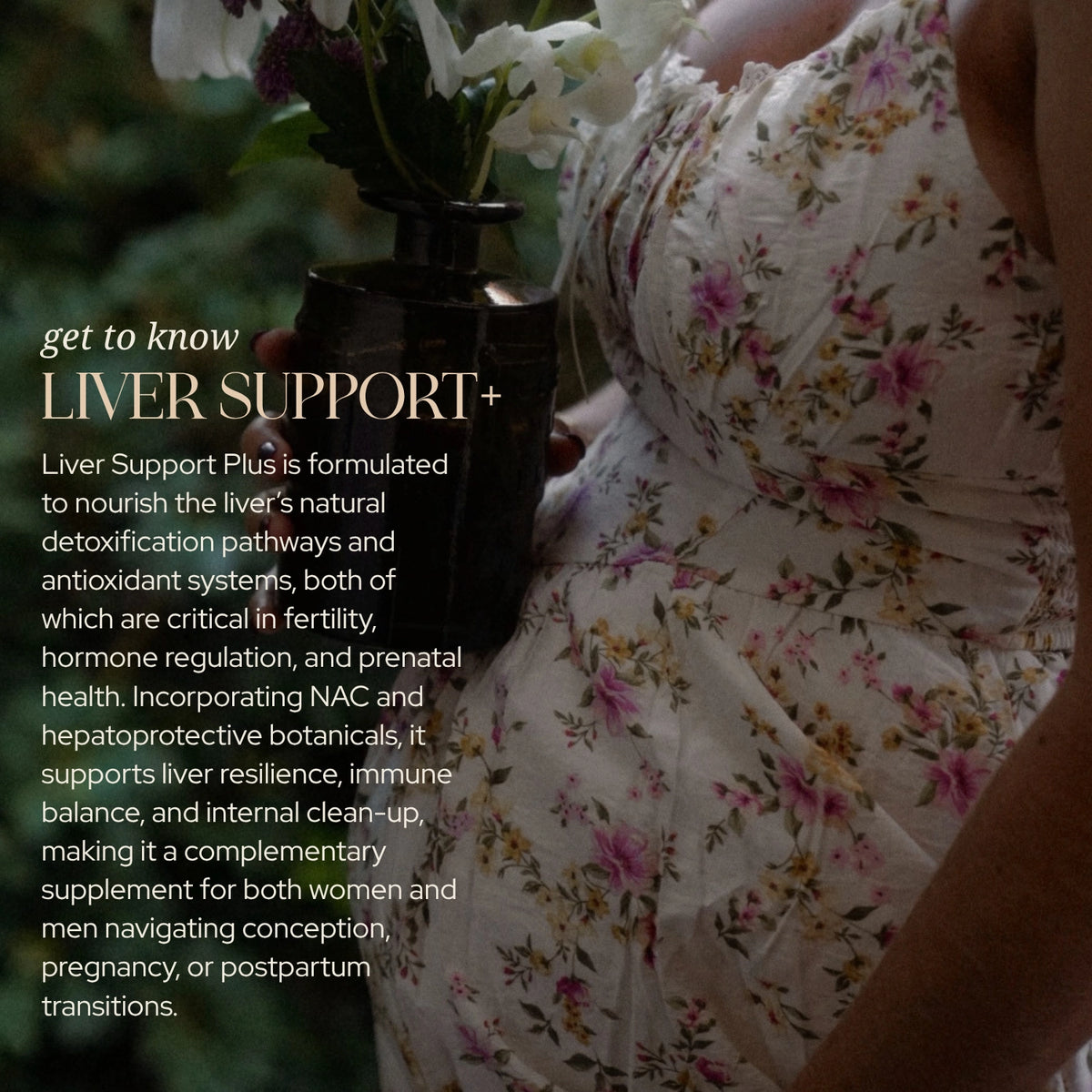 Liver Support Plus