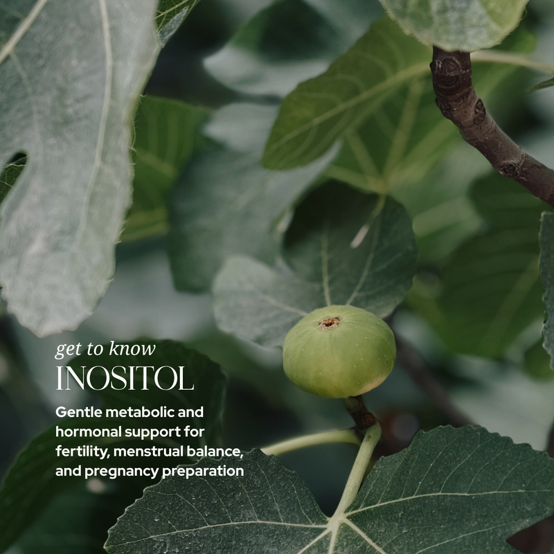 Inositol — overview