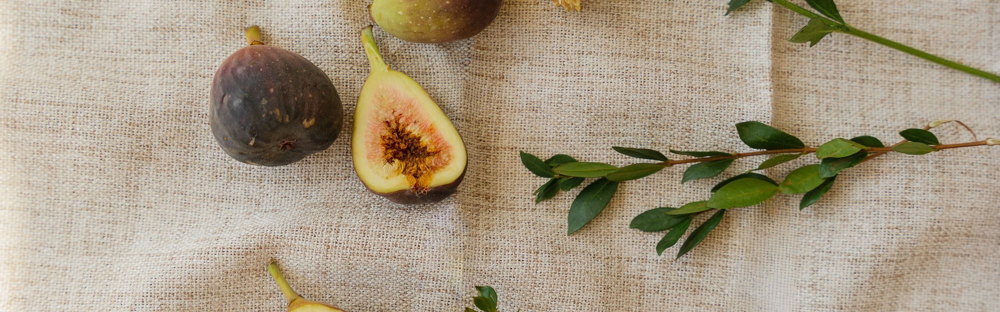 FIG Wellness